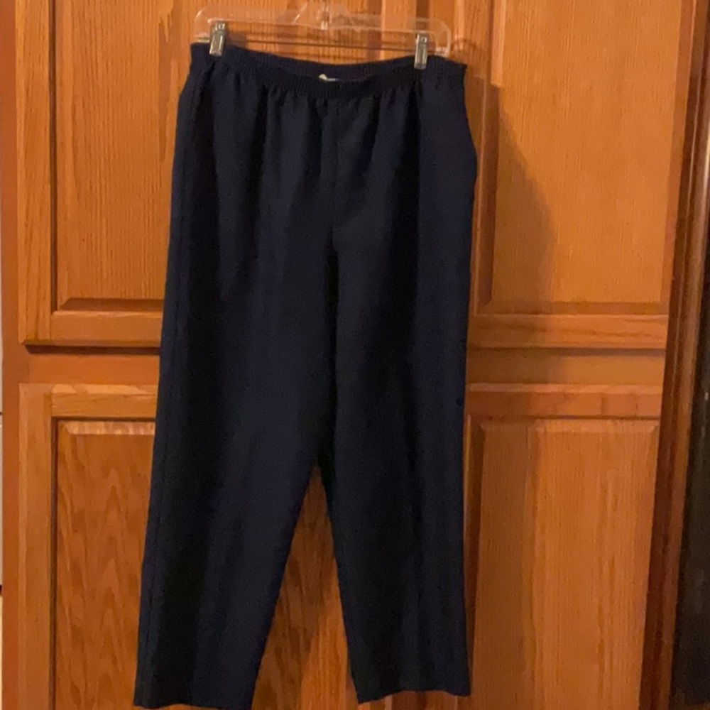 Gently used Alfred Dunner navy pants size 16 petite